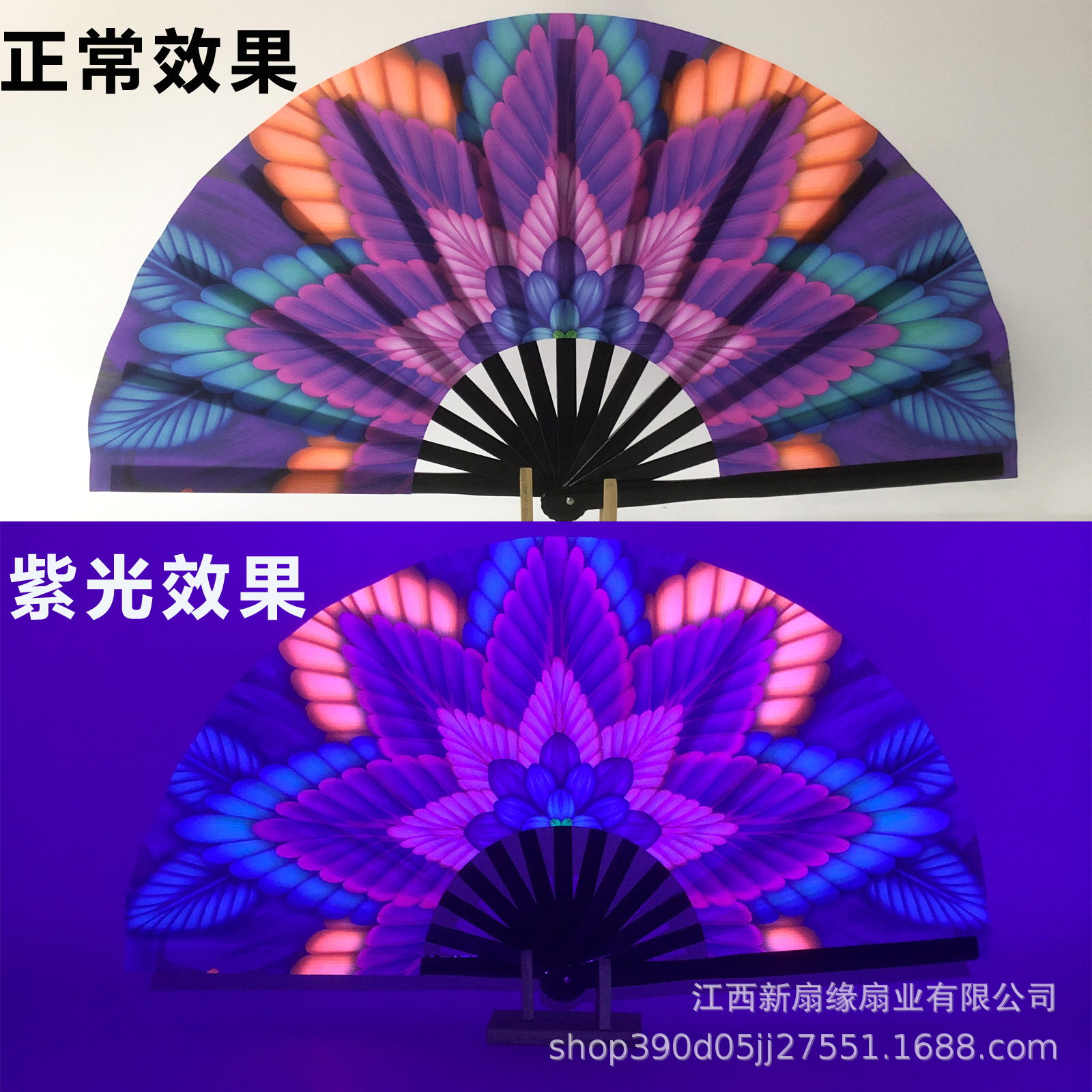 흑죽뼈형광 33호 오잎클로버