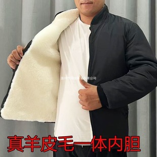 ��Ƥ��Ƥ�\һ�w�Ӻ�Ƥë��đ�����궬�����I������ů�������\����