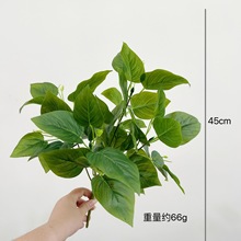 ��ꖷ���ֲ�� �Gֲ���� ֲ�����b� �����~���^�z�O���~ �ٲ�