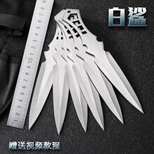 �����w�S�w�SС�����P��w�S���ߑ���С��Ӗ��ֱ�w���w�����w�S