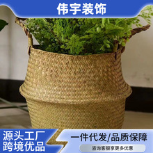 ���W�ݾ��b�Ʒ���@�����ռ{�@ֲ��@�Ӿ����@�Gֲ�[���پ��ռ{��