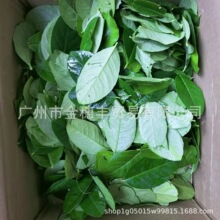 ���r�����~������������{��500g̩��ʽ������ꎹ������~������