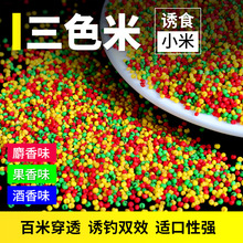 饵料 鲫鱼饵鲤鱼饵窝米钓鱼米钓鱼小米酒米窝料五彩小米散装三色