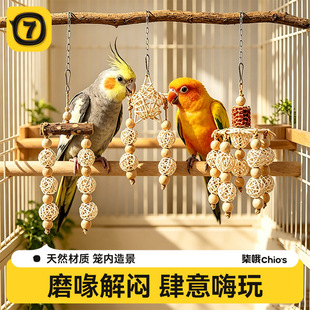 �W�^��߿�ҧ�����촮�����Y��ľ���␞����ĥ��ĵ�����P�B�\���