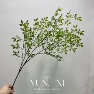 �羳���R�d؛Դ�����������c�廨Ӱ���쾰�Ҿ��b�ֲ��S�����l