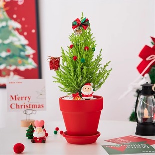 С�����}�Q�������k���������҃�ֲ���ͶY�Y����B�Gֲ�}�Q���b�