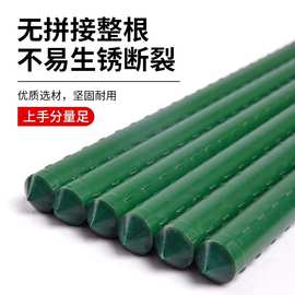 爬藤架黄瓜四季豆角架杆葡萄花架番茄支撑架子园艺户外庭院种蔬菜