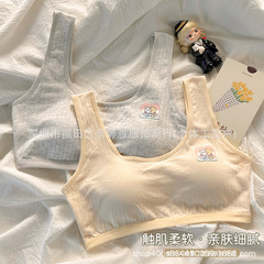 12-18歲女童內衣女純棉發育期初中生學生一體式運動防震少女文胸