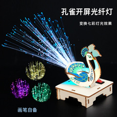 科学実験diy孔雀開屏光ファイバランプ科学技術小製作児童手作りsteam材料包セット