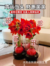 �M����피t�����ذ���피t�N���ɫ���B���҃ȷN���ļ��_����ֲ��