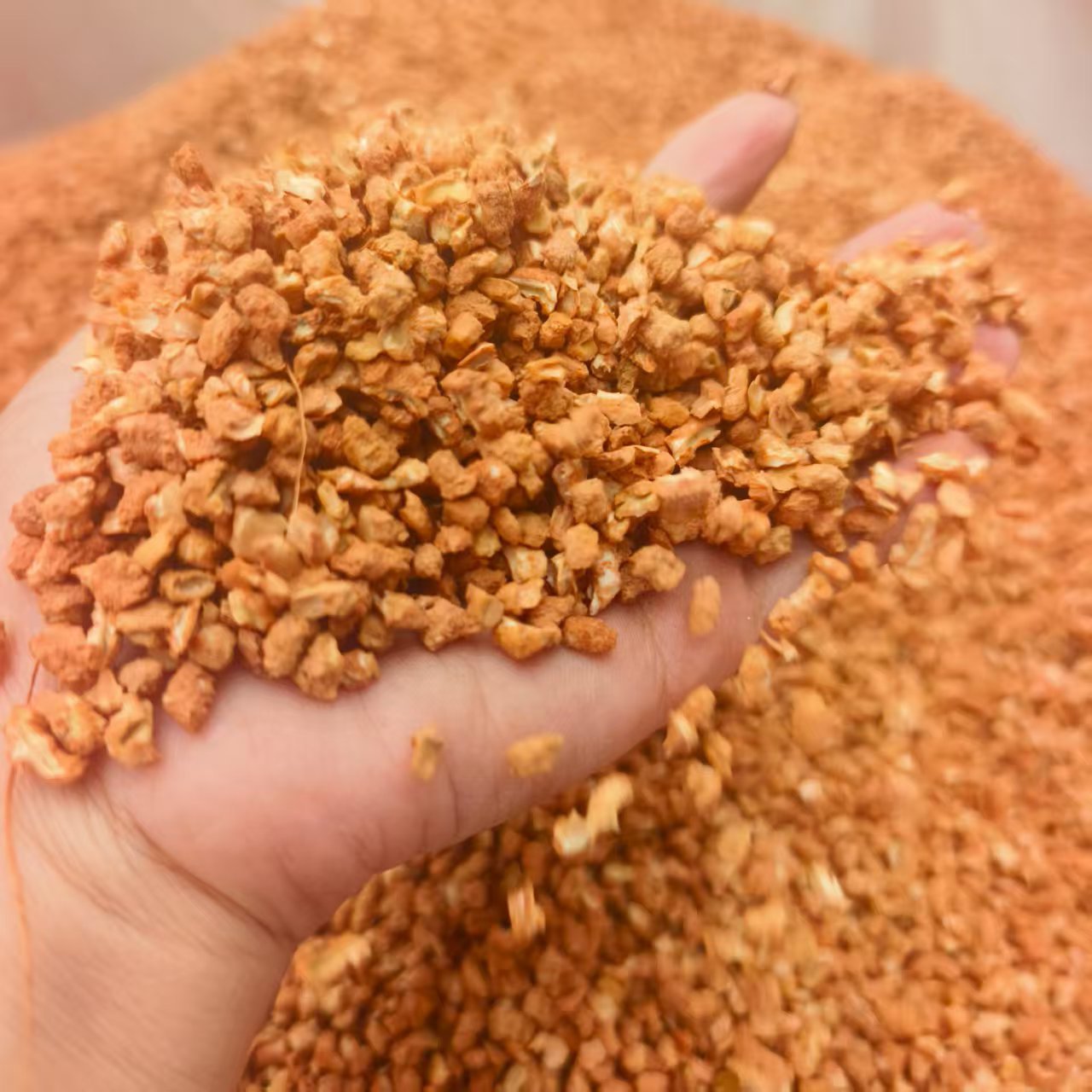 七彩玉米芯颗粒香薰香包去除异味 衣柜吸湿香薰石 花香樟脑丸