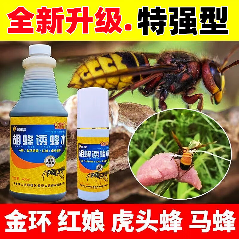 Wasp trap water field recruit wasp trap water gold ring matchmaker big black yellow waist black tail bee trap water trap bee Wasp trap water field recruit wasp trap water gold ring matchmaker big black yellow waist black tail bee trap water trap bee