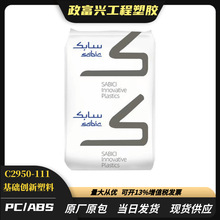 PC/ABS A C2950-111  ouȼ Ͻzԭ