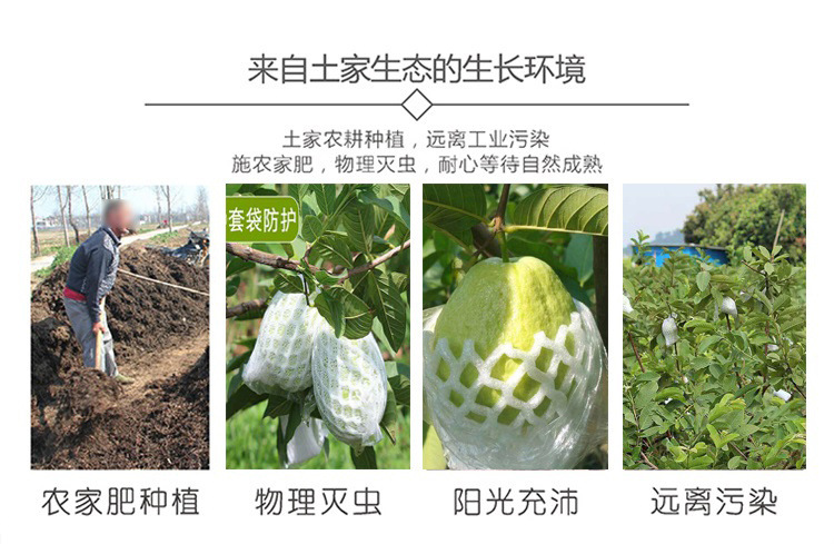 fb97b62c-010e-45c7-9a52-70dde678246e.jpe