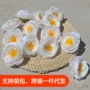 摄影户外花墙道具茶玫