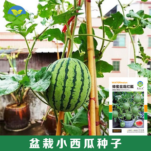 ��������С���ϷN��2K���ϷN���ļ��̨�߮a��������ˮ���N�Ӵ�ȫ