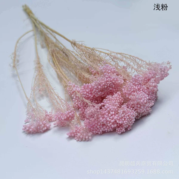 ◦◦◦◦◦◦Light pink◦◦◦◦◦◦