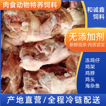 厂家供应冻干零食原料宠物蛇鳄鱼狐狸饲料冷冻带脖鸡架