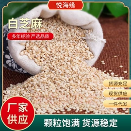 生花生;花生;芝麻