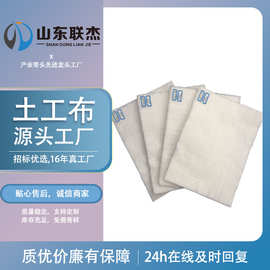 土工布400g工程防尘盖土道路养护加固绿化聚酯无纺布200g厂家直供