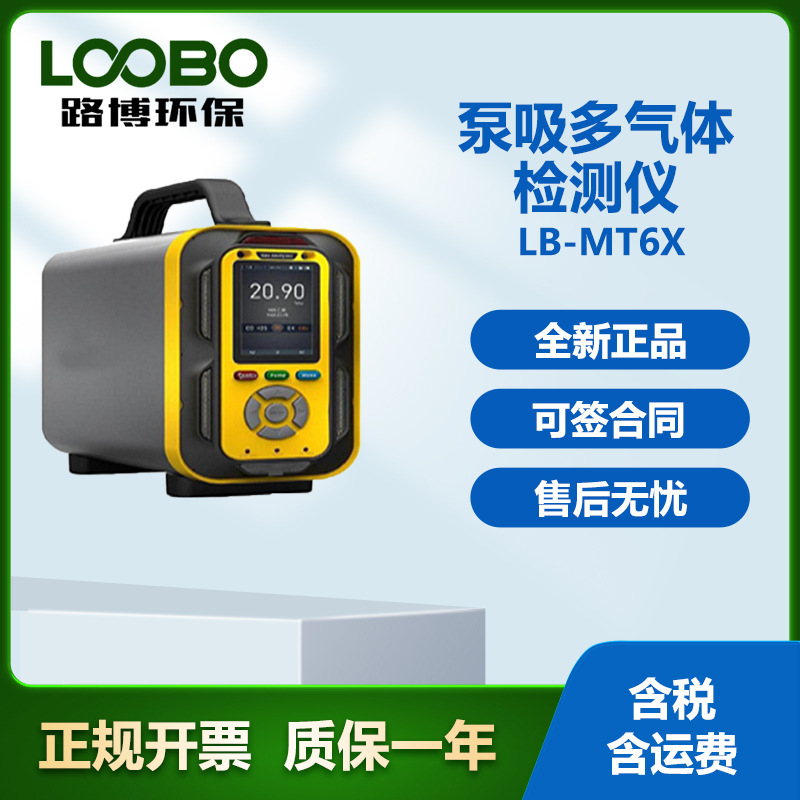 气体检测仪 多种气体检测仪 智能有害气体检测仪