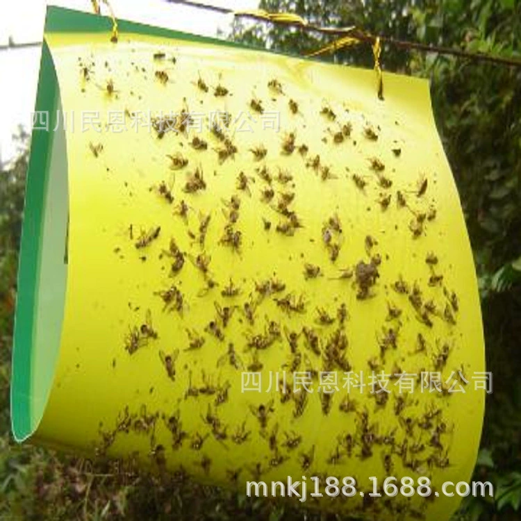 Вискозная доска для фруктовых мух, оптовая продажа, двусторонняя ловушка для насекомых, желтая доска, производитель, теплица, чайный сад, ловушка для летающих насекомых