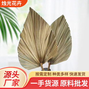 Dried flower cattail leaf palm leaf wedding space aesthetic modeling home decoration Nordic wind dried flower bouquet flower arrangement material