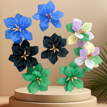 2025�|Ψ������˳��ɏ͹��L�������h�W���r���F����ᔶ��Ů