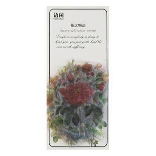 Natural photo album window secret language series PET hand account sticker bag creative plant DIY decorative stickers 12