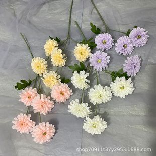 ����ջ��¿�ǧ�Ӿ� �����ٻ����滨�羳С�ջ��p�ݼҾ��b[��