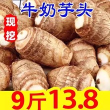 �F�����^������rţ��С���^9��ë���^���󑪼����^��ܵ��Ŵ���]1