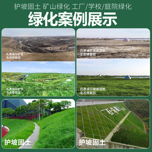 ��ƺ�����ļ������o�¹������R������Ƥ�G��������ͥԺ��̺�ݷN��