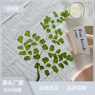 �ɻ������F��ާ ֲ��˱����������b�Ѻ���ֹ���ͯ����diy���ϰ�