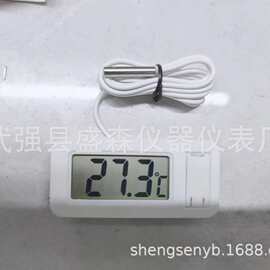 TPM-30嵌入式 温度显示器面板表数显 电子温度计 带探头 前置电池