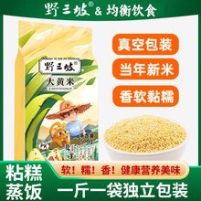 野三坡大黄米5斤新米正宗糯小米粥黍米新黏黄米粘粽子米五谷杂粮