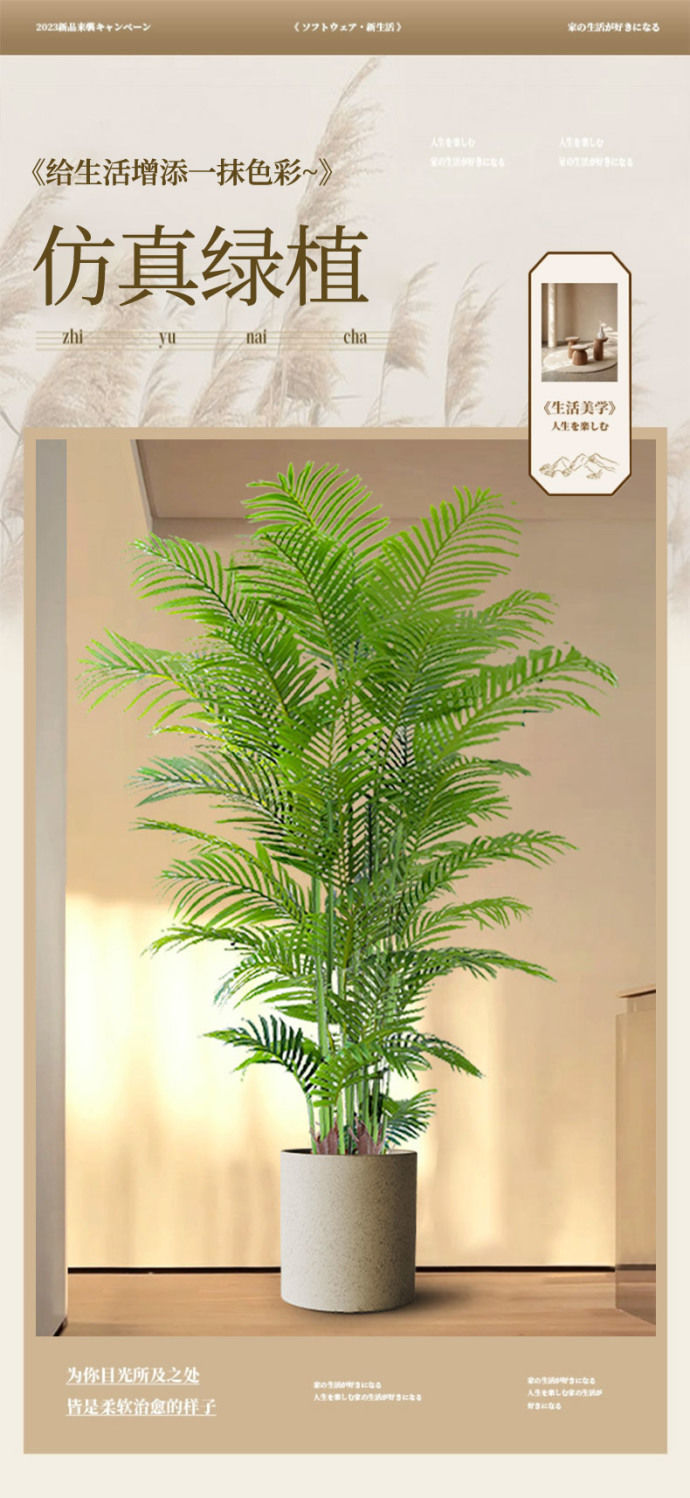 449075b6-ce33-46bb-a1da-07a48c38e9f9.jpe