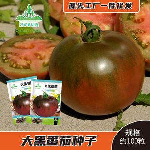 ����ڷ��ѷN�ӿ���ɫ���t���N��ɳȿˮ����������Ѵ��＾�N�ݷN