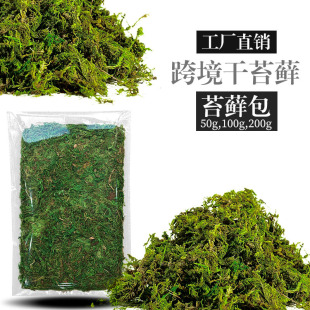 �羳��̦�\���l���W�LDIY����ֲ���Ƥ�b�ˮ̦�ҾӸɻ�ɭϵ̦�\