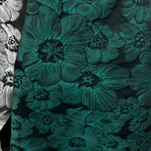 ɫϹϻwỨϴď͹ȹYͯb