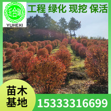 ���Ǘ��� �|����l���� ����С�� ��Ǘ��� �������� ������Ǘ�