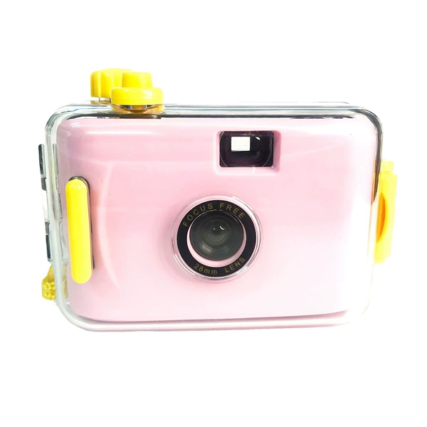 Light powder yellow shell