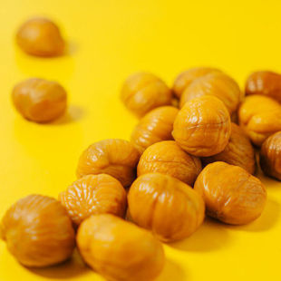 ��Ʒ�ƺ��u227.9�f+�l�����ϻʼ�ʳ�����ʟo�����������ʰ�������