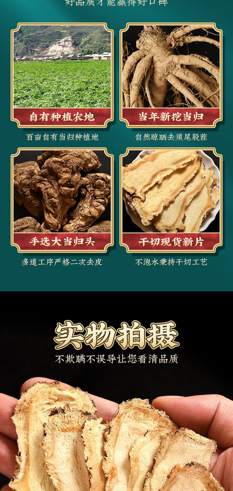 Premium Dang Gui Head Slices 500g Chinese Angelica Root Dried Herb for Decoction and Soup quality and texture