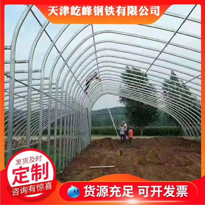 Поставки производителя, теплица, скелет, клубничный сарай, дракон, сарай для посадки фруктов, сарай для посадки цветов, сельскохозяйственная теплица