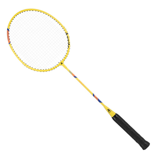 Deli Angelite F2100/F2101 doubles badminton racket iron alloy home training badminton racket