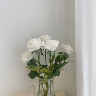 ~ �ߏ���Ĥ����tee 0.2kg 9050504