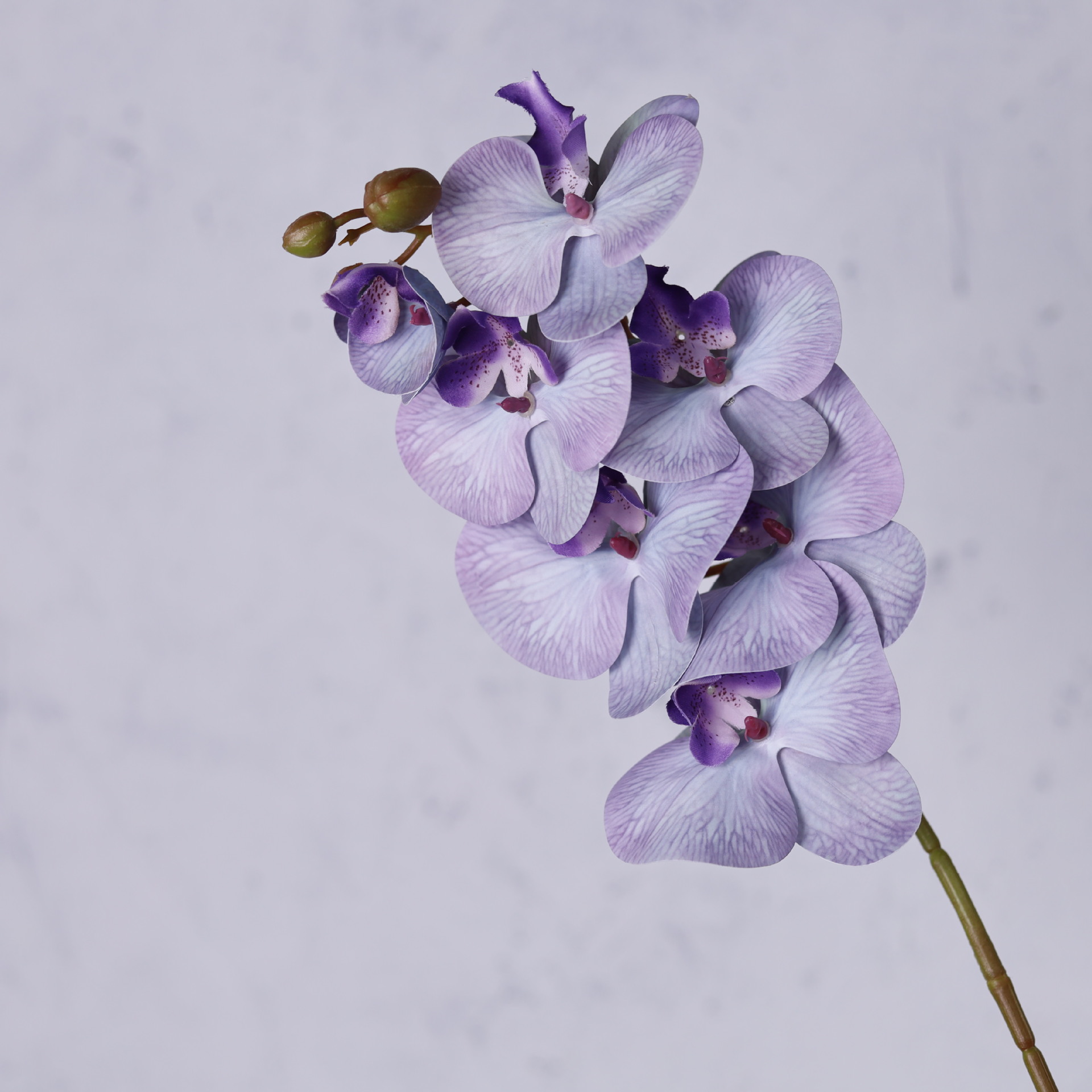 Impresión 3D de 7 cabezas de orquídeas mariposa flor de decoración de flores de alto nivel flor de nicho decoración floral decoración de sala de estar