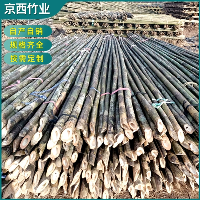 Поставка садовых бамбуковых столбов, бамбуковых столбов и ямков