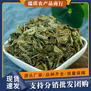 Pβșĵ500gɢbPβuצuβr؛вșȫ