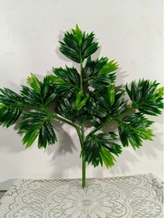 �٘��~�Gɫ���������҃ȱ����b����Ϙ�֦�y���~������t���~�G�~